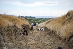 Radio Jai: Israel abre al público el 'Jardín prehistórico del Edén'